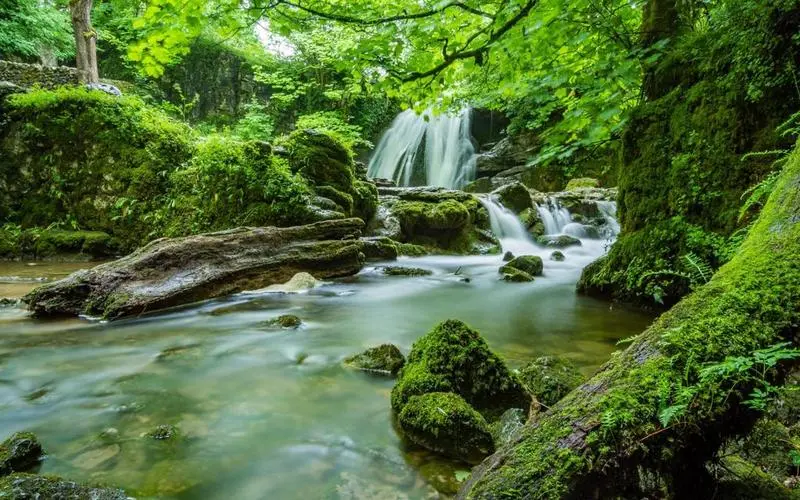 高效智慧科技
